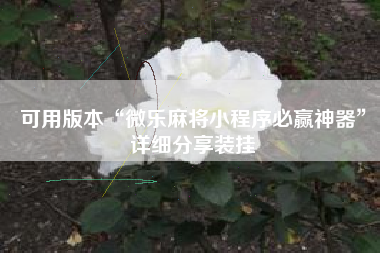 可用版本“微乐麻将小程序必赢神器”详细分享装挂