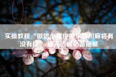 实操教程“微信小程序微乐四川麻将有没有挂”(曝光透视必备猫腻