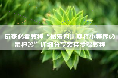 玩家必看教程“微乐四川麻将小程序必赢神器	”详细分享装挂步骤教程