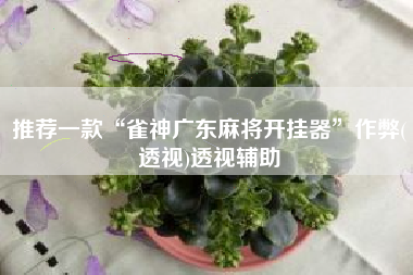 推荐一款“雀神广东麻将开挂器”作弊(透视)透视辅助