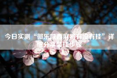 今日实测“微乐陕西麻将有没有挂”详细分享装挂步骤