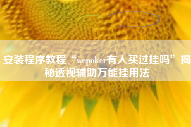 安装程序教程“wepoker有人买过挂吗”揭秘透视辅助万能挂用法
