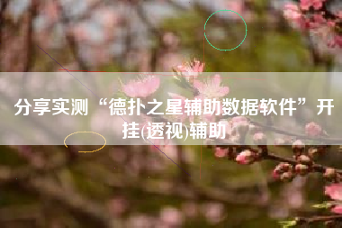 分享实测“德扑之星辅助数据软件”开挂(透视)辅助