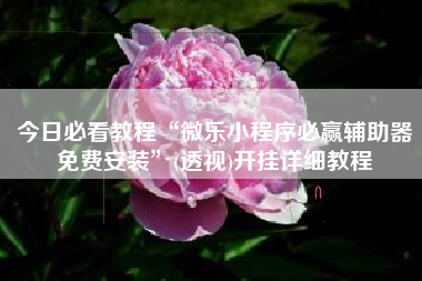 今日必看教程“微乐小程序必赢辅助器免费安装	”(透视)开挂详细教程