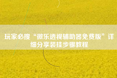 玩家必搜“微乐透视辅助器免费版	”详细分享装挂步骤教程