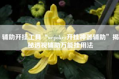 辅助开挂工具“wepoker开挂神器辅助”揭秘透视辅助万能挂用法