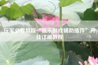 玩家必看教程“微乐游戏辅助插件”开挂详细教程