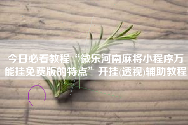 今日必看教程“微乐河南麻将小程序万能挂免费版的特点	”开挂(透视)辅助教程