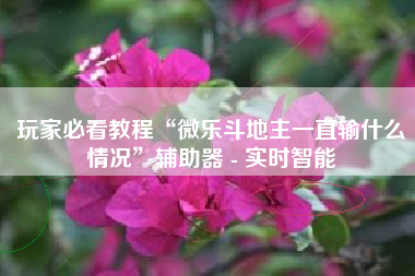 玩家必看教程“微乐斗地主一直输什么情况	”辅助器 - 实时智能