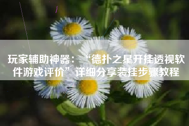 玩家辅助神器：“德扑之星开挂透视软件游戏评价”详细分享装挂步骤教程