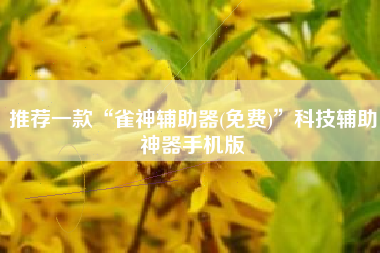 推荐一款“雀神辅助器(免费)”科技辅助神器手机版