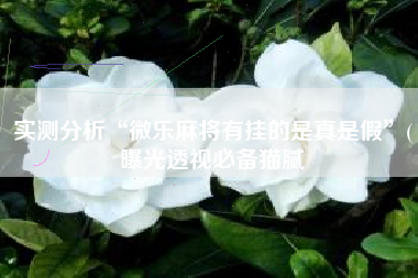 实测分析“微乐麻将有挂的是真是假”(曝光透视必备猫腻