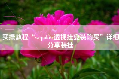 实操教程“wepoker透视挂安装购买”详细分享装挂