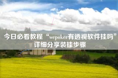 今日必看教程“wepoker有透视软件挂吗”详细分享装挂步骤