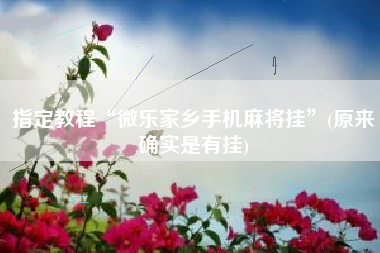 指定教程“微乐家乡手机麻将挂”(原来确实是有挂)