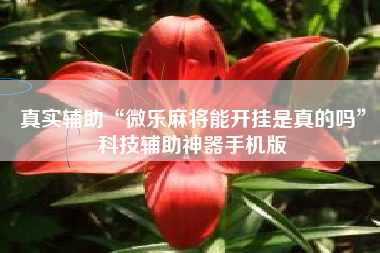 真实辅助“微乐麻将能开挂是真的吗”科技辅助神器手机版