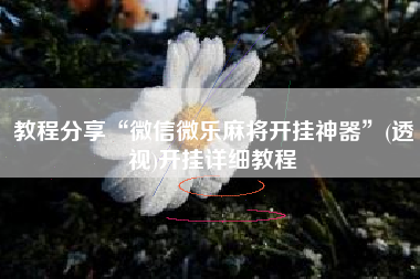 教程分享“微信微乐麻将开挂神器”(透视)开挂详细教程