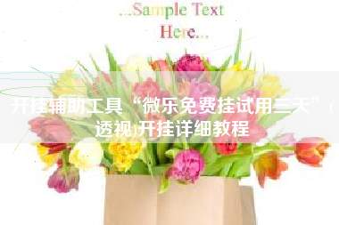 开挂辅助工具“微乐免费挂试用三天”(透视)开挂详细教程