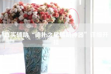 真实辅助“德扑之星辅助神器”详细开挂