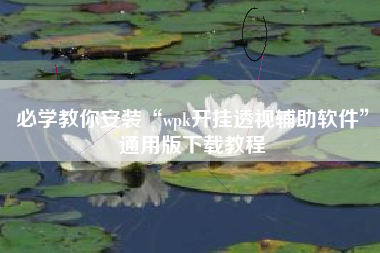 必学教你安装“wpk开挂透视辅助软件	”通用版下载教程