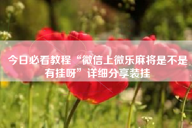 今日必看教程“微信上微乐麻将是不是有挂呀	”详细分享装挂