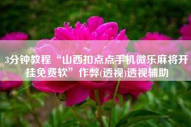 3分钟教程“山西扣点点手机微乐麻将开挂免费软	”作弊(透视)透视辅助