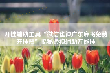 开挂辅助工具“微信雀神广东麻将免费开挂器	”揭秘透视辅助万能挂