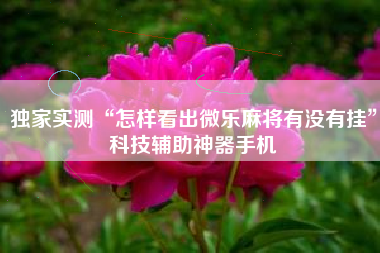 独家实测“怎样看出微乐麻将有没有挂”科技辅助神器手机