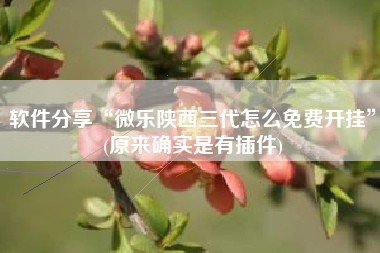 软件分享“微乐陕西三代怎么免费开挂	”(原来确实是有插件)