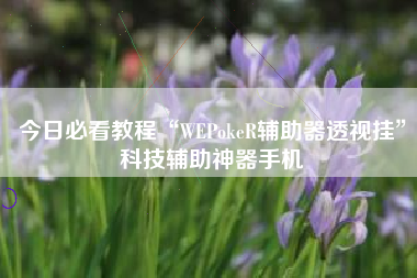 今日必看教程“WEPokeR辅助器透视挂”科技辅助神器手机