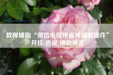 教程辅助“微信小程序雀神辅助插件	”开挂(透视)辅助神器