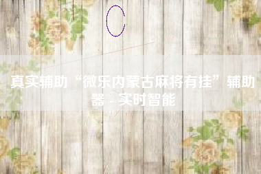 真实辅助“微乐内蒙古麻将有挂	”辅助器 - 实时智能