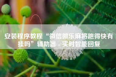 安装程序教程“微信微乐麻将跑得快有挂吗”辅助器 - 实时智能回复