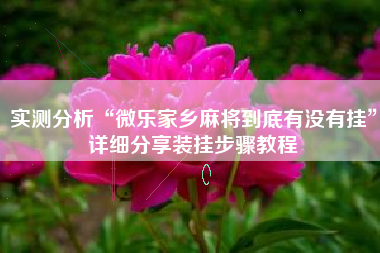 实测分析“微乐家乡麻将到底有没有挂”详细分享装挂步骤教程