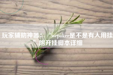 玩家辅助神器：“wepoker是不是有人用挂”附开挂脚本详细