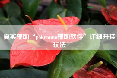 真实辅助“pokemmo辅助软件”详细开挂玩法