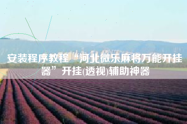 安装程序教程“河北微乐麻将万能开挂器”开挂(透视)辅助神器