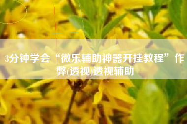 3分钟学会“微乐辅助神器开挂教程	”作弊(透视)透视辅助