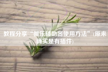 教程分享“微乐辅助器使用方法	”(原来确实是有插件)