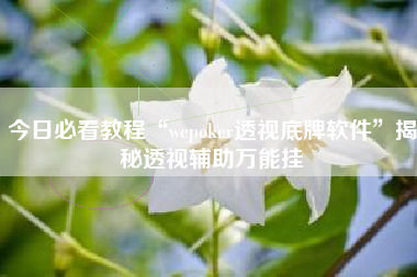 今日必看教程“wepoker透视底牌软件”揭秘透视辅助万能挂