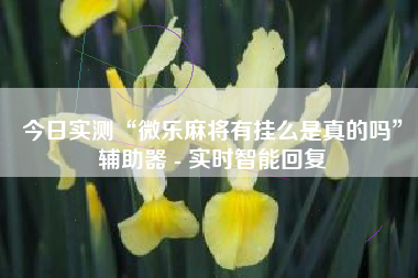 今日实测“微乐麻将有挂么是真的吗”辅助器 - 实时智能回复