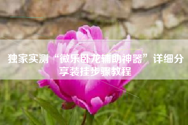 独家实测“微乐卧龙辅助神器”详细分享装挂步骤教程