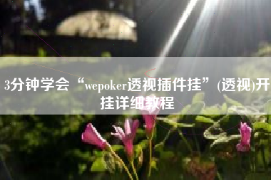 3分钟学会“wepoker透视插件挂	”(透视)开挂详细教程