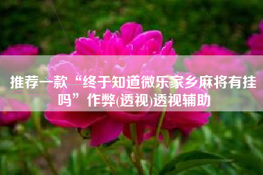 推荐一款“终于知道微乐家乡麻将有挂吗	”作弊(透视)透视辅助