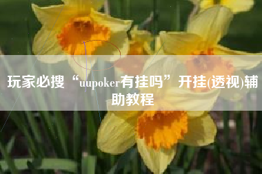 玩家必搜“uupoker有挂吗”开挂(透视)辅助教程