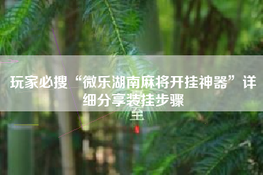 玩家必搜“微乐湖南麻将开挂神器”详细分享装挂步骤