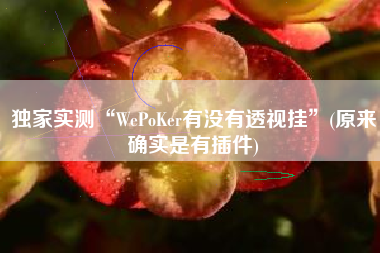 独家实测“WePoKer有没有透视挂	”(原来确实是有插件)