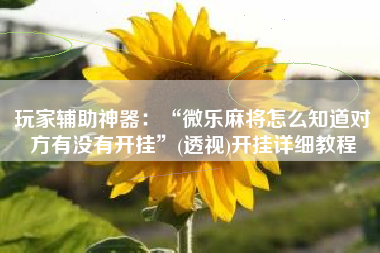 玩家辅助神器：“微乐麻将怎么知道对方有没有开挂”(透视)开挂详细教程