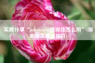 实测分享“pokerworld透视挂怎么用”(原来确实是有插件)