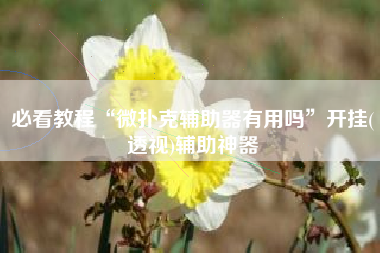 必看教程“微扑克辅助器有用吗”开挂(透视)辅助神器